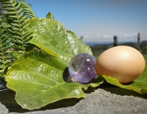 La-bola-púrpura-Ritual-del-huevo-La-bola-púrpura